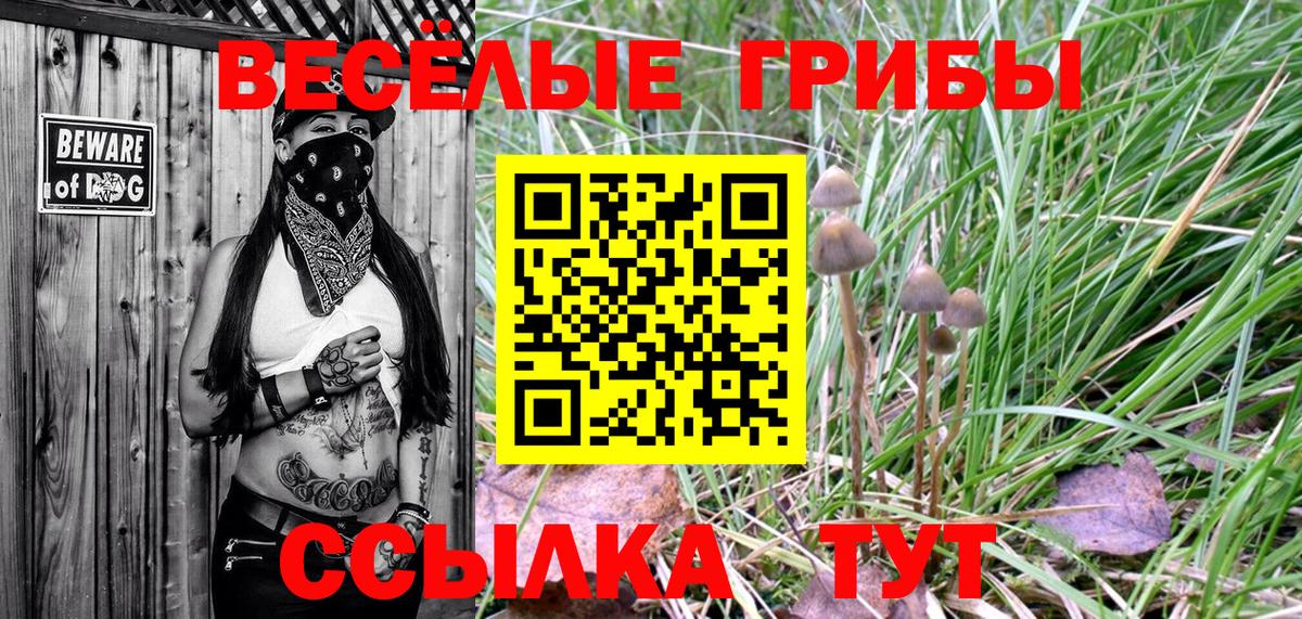 Псилоцибиновые грибы MAGIC MUSHROOMS  Галлюциногенные грибы прущие грибы  Армавир  Вход с VPN 