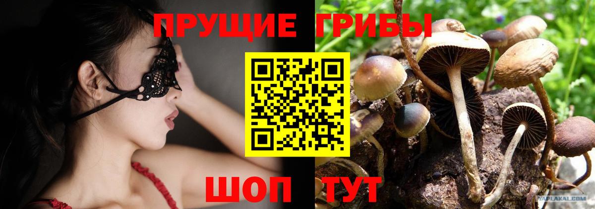 Галлюциногенные грибы Psilocybine cubensis Армавир